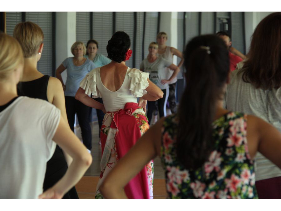 Impressionen beim Tanz aller Kulturen (Foto: © Bildungs- und Integrationszentrum, Kreis Paderborn, Johanna Leifeld)